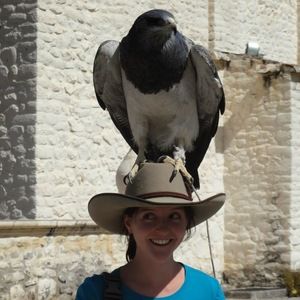 Meet your Posher, Robin